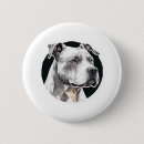 Search for pitbull lover buttons Weimaraner