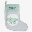 Recherche de dinosaure de noël chaussette de noël Nom