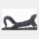 Search for funny squirrel stickers Animals