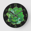 Recherche de rosette horloges Succulent