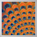 Search for blue feathers posters Teal