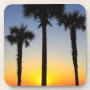 Search for palm tree coasters Cool
