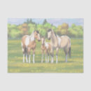 Search for paint horse tissue paper Horses