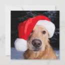 Search for cute golden retriever puppy christmas cards Dogs