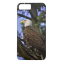 Search for bald eagle iphone cases Bird of prey