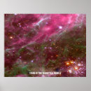 Recherche de tarantula posters Rose