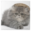 Recherche de persans carreaux Animal