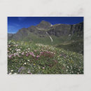 Recherche de alps cartes postales Paysage