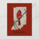 Search for cardinal vertical postcards Woods