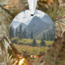 Search for wilderness ornaments Rocky mountains