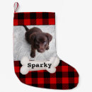 Recherche de pet chaussette de noël Chiot