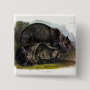 Recherche de ours brun badges Grizzli