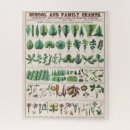Recherche de botanical puzzles Flowers