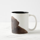 Search for labrador puppy mugs Horizontal