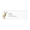 Search for deer hunting Buck