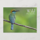 Search for customisables postcards Green