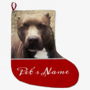 Recherche de pittie Noël