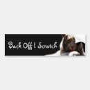 Search for tiger bumper stickers Cat