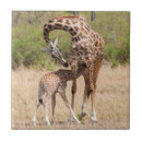Recherche de girafe carreaux Faune