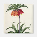 Recherche de 21ème magnets Fleurs