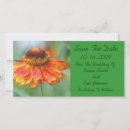 Search for daisy save the dates Orange