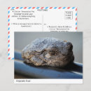 Search for toads postcards Amphibian