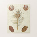 Recherche de coquillages puzzles Nature