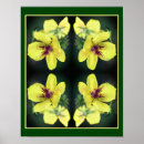 Search for yellow wildflowers art Nature