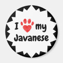 Search for cat breed magnets Kitty
