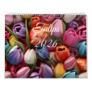 Recherche de rose de tulipe photographie Fleurs de printemps