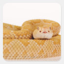 Search for rattlesnake stickers Animals