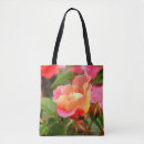 Search for apricots bags Nature