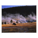 Search for greg art Nature