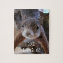 Recherche de écureuil puzzles Animal