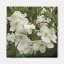 Search for orange floral magnets Flower
