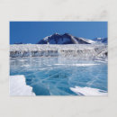 Search for south pole Travel