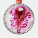 Recherche de orchidée ornements Photographie