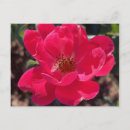 Recherche de grisâtre posters Mignon