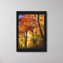 Search for autumn trees canvas prints Photography