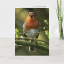 Recherche de européen vœux cartes Anglais