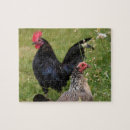 Recherche de rooster puzzles Animal