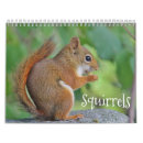 Search for wild animals calendars Squirrels