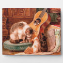 Recherche de musicien plaques Guitare chatte