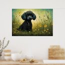 Recherche de standard poodle posters Miniature