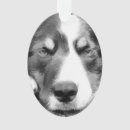 Search for collie ornaments Animal
