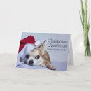 Recherche de chiwawa noël cartes Célébration