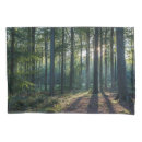 Search for beech home living Landscape