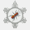 Search for ant ornaments Funny
