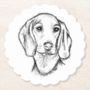 Recherche de teckel dessous de verres Chiot