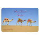 Recherche de de chameau magnets Inde